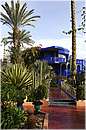 marocco_marrakech_majorelle_0509.jpg