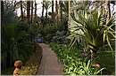 marocco_marrakech_majorelle_0511.jpg