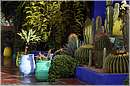 marocco_marrakech_majorelle_0520.jpg