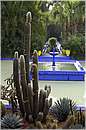 marocco_marrakech_majorelle_0523.jpg