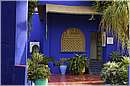 marocco_marrakech_majorelle_0561.jpg