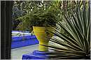 marocco_marrakech_majorelle_0570.jpg