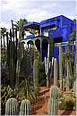 marocco_marrakech_majorelle_0578.jpg