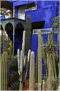 marocco_marrakech_majorelle_0579.jpg