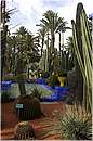 marocco_marrakech_majorelle_0584.jpg