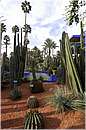 marocco_marrakech_majorelle_0586.jpg