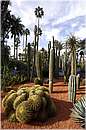 marocco_marrakech_majorelle_0592.jpg