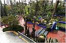 marocco_marrakech_majorelle_0625.jpg