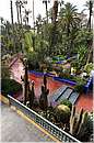 marocco_marrakech_majorelle_0626.jpg