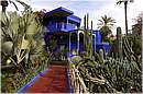 marocco_marrakech_majorelle_0628.jpg