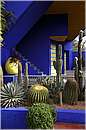 marocco_marrakech_majorelle_0640.jpg