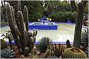 marocco_marrakech_majorelle_0651.jpg