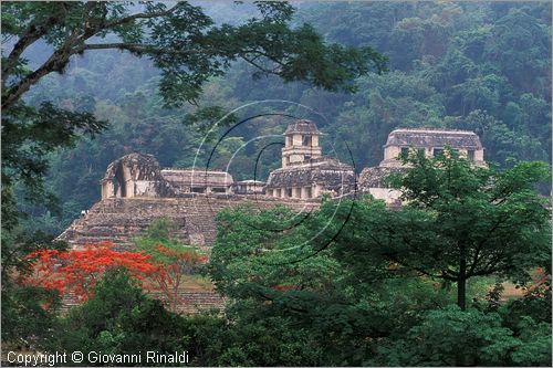 MEXICO - CHIAPAS - Area archeologica di Palenque (antica citt Maya (VII sec. d.C.) - il Palacio