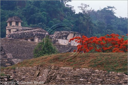 MEXICO - CHIAPAS - Area archeologica di Palenque (antica citt Maya (VII sec. d.C.) - il Juego de Pelota e il Palacio