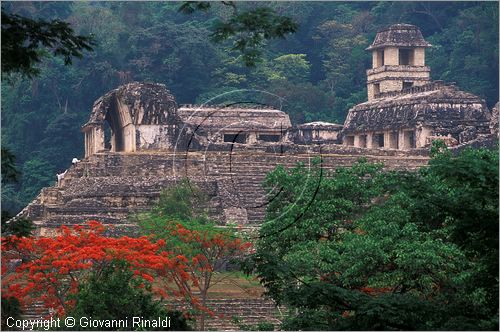 MEXICO - CHIAPAS - Area archeologica di Palenque (antica citt Maya (VII sec. d.C.) - il Palacio