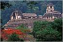 mexico_palenque0003.jpg