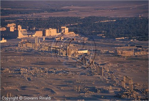 SIRIA - PALMIRA
antica citt romana nel deserto
veduta dal castello arabo