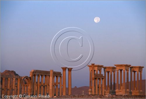 SIRIA - PALMIRA
antica città romana nel deserto
veduta delle rovine all'alba