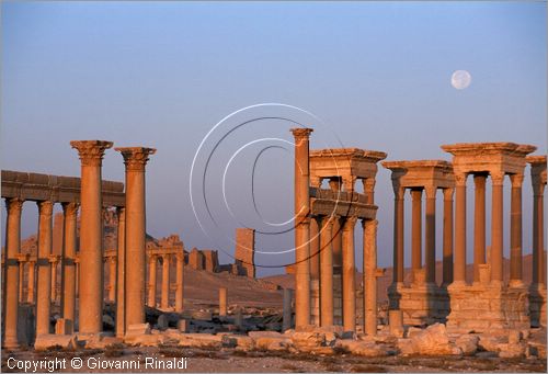 SIRIA - PALMIRA
antica citt romana nel deserto
veduta delle rovine all'alba