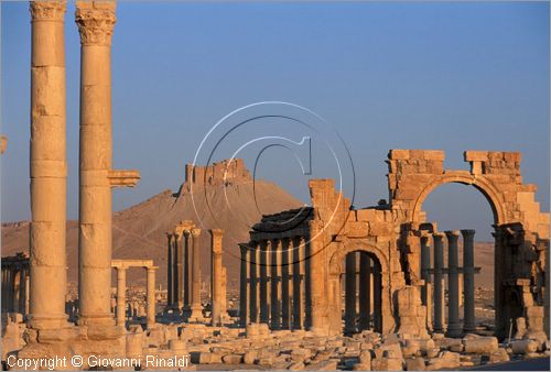 SIRIA - PALMIRA
antica citt romana nel deserto
veduta delle rovine all'alba, l'arco monumentale e la strada colonnata, sullo sfondo il castello arabo