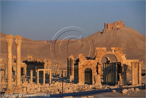 SIRIA - PALMIRA
antica citt romana nel deserto
veduta delle rovine all'alba, l'arco monumentale e la strada colonnata, sullo sfondo il castello arabo