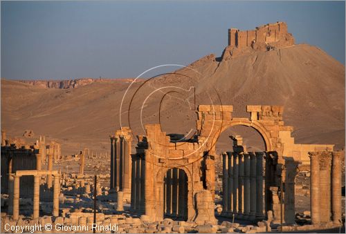 SIRIA - PALMIRA
antica città romana nel deserto
veduta delle rovine all'alba, l'arco monumentale e la strada colonnata, sullo sfondo il castello arabo