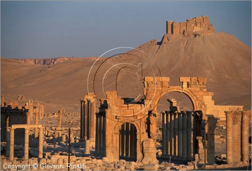 SIRIA - PALMIRA
antica citt romana nel deserto
veduta delle rovine all'alba, l'arco monumentale e la strada colonnata, sullo sfondo il castello arabo