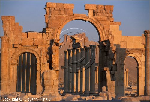 SIRIA - PALMIRA
antica città romana nel deserto
veduta delle rovine all'alba, l'arco monumentale e la strada colonnatae, sullo sfondo il castello arabo