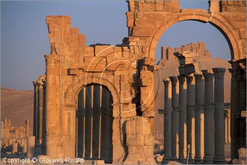 SIRIA - PALMIRA
antica città romana nel deserto
veduta delle rovine all'alba, l'arco monumentale e la strada colonnatae, sullo sfondo il castello arabo