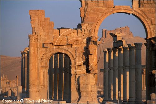 SIRIA - PALMIRA
antica citt romana nel deserto
veduta delle rovine all'alba, l'arco monumentale e la strada colonnatae, sullo sfondo il castello arabo