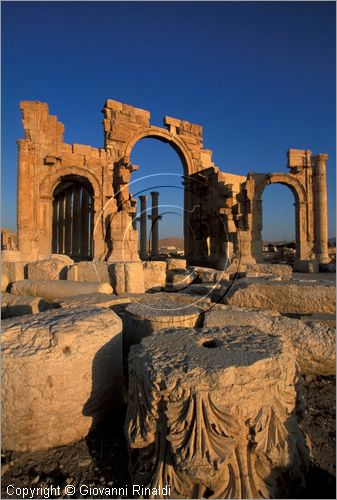 SIRIA - PALMIRA
antica città romana nel deserto
veduta delle rovine all'alba, l'arco monumentale