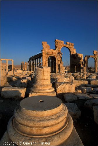 SIRIA - PALMIRA
antica citt romana nel deserto
veduta delle rovine all'alba, l'arco monumentale