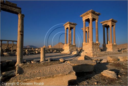 SIRIA - PALMIRA
antica citt romana nel deserto
veduta delle rovine all'alba, Tetrapylon