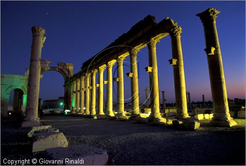 SIRIA - PALMIRA
antica citt romana nel deserto
veduta notturna delle rovine, il grande colonnato e l'arco monumentale
