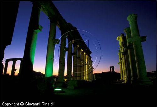 SIRIA - PALMIRA
antica città romana nel deserto
veduta notturna delle rovine, il grande colonnato