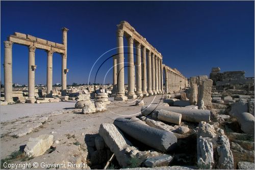 SIRIA - PALMIRA
antica città romana nel deserto
il grande colonnato della strada principale nel tratto compreso tra l'arco trionfale e il Tetrapylon