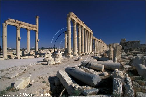 SIRIA - PALMIRA
antica citt romana nel deserto
il grande colonnato della strada principale nel tratto compreso tra l'arco trionfale e il Tetrapylon