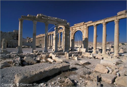 SIRIA - PALMIRA
antica città romana nel deserto
il grande colonnato della strada principale nei pressi del teatro