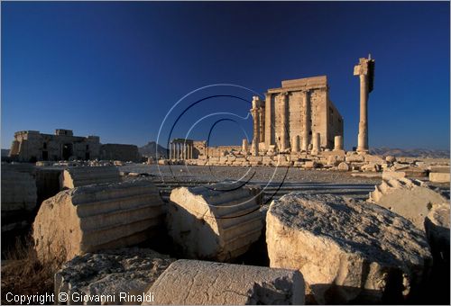 SIRIA - PALMIRA
antica citt romana nel deserto
Tempio di bel, il santuario al centro del grande cortile