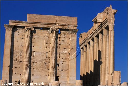 SIRIA - PALMIRA
antica citt romana nel deserto
Tempio di bel, il santuario al centro del grande cortile
