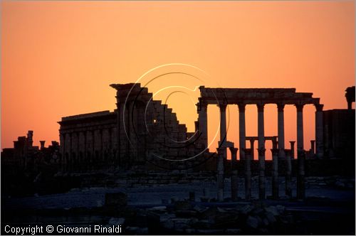 SIRIA - PALMIRA
antica citt romana nel deserto
Tempio di bel, veduta all'aurora