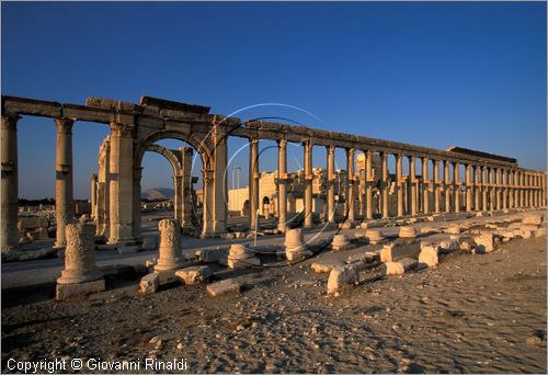 SIRIA - PALMIRA
antica citt romana nel deserto
grande colonnato lungo la strada principale