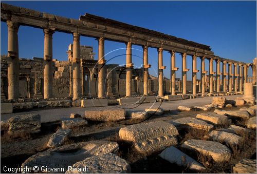 SIRIA - PALMIRA
antica città romana nel deserto
grande colonnato lungo la strada principale
