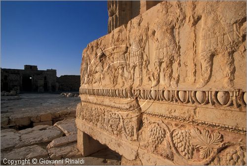 SIRIA - PALMIRA
antica citt romana nel deserto
Tempio di bel, il santuario al centro del grande cortile, particolare di rilievo su un frammento