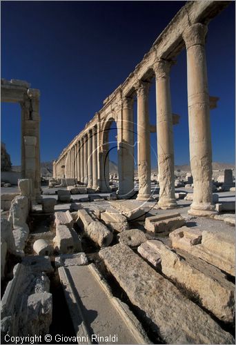 SIRIA - PALMIRA
antica città romana nel deserto
grande strada colonnata presso il teatro