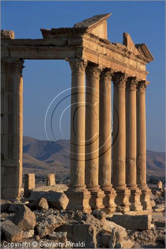 SIRIA - PALMIRA
antica citt romana nel deserto
tempio funebre del III secolo