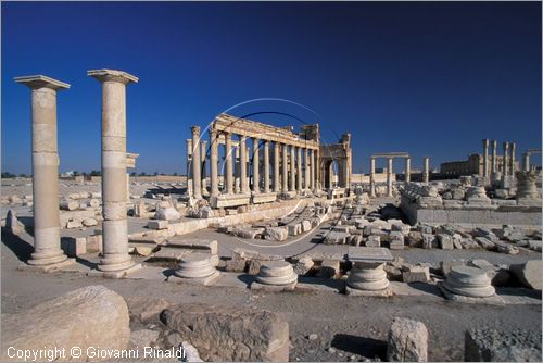 SIRIA - PALMIRA
antica città romana nel deserto
tempio di Nabo
