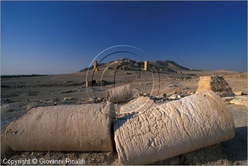 SIRIA - PALMIRA
antica citt romana nel deserto
veduta delle rovine, in fondo la collina Umm al-Qais con le torri funerarie di Yemliko