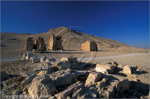 SIRIA - PALMIRA
antica citt romana nel deserto
Vallata delle tombe, tobe torri ed ipogei ad ovest della citt