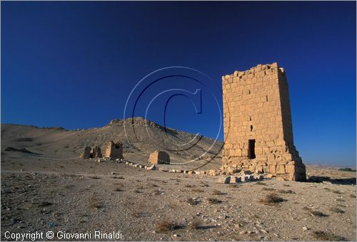 SIRIA - PALMIRA
antica citt romana nel deserto
Vallata delle tombe, tobe torri ed ipogei ad ovest della citt